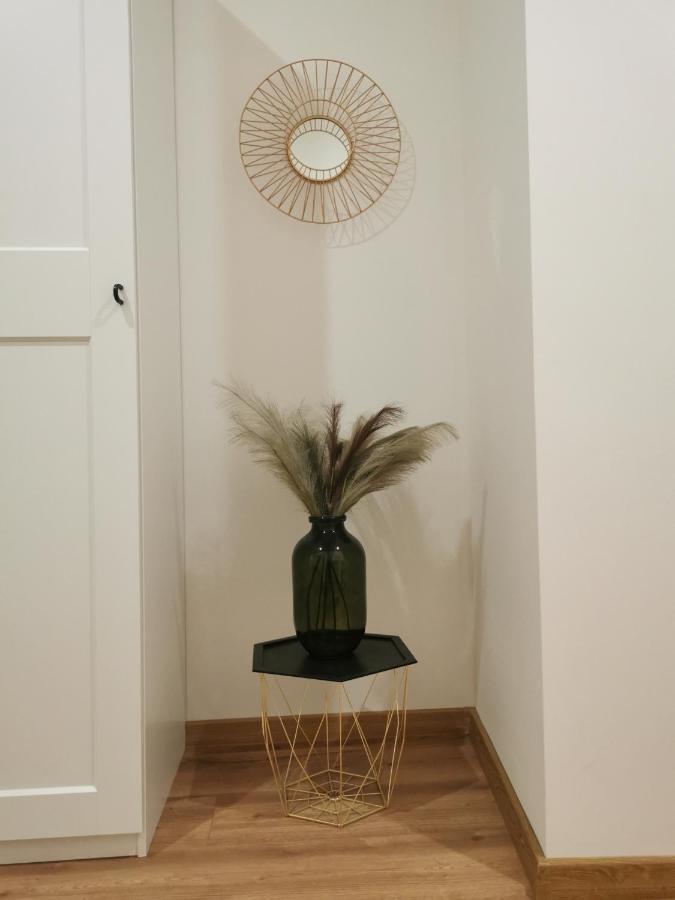 Atlas Apartment In The Historical Center Of Kosice With Free Private Parking エクステリア 写真